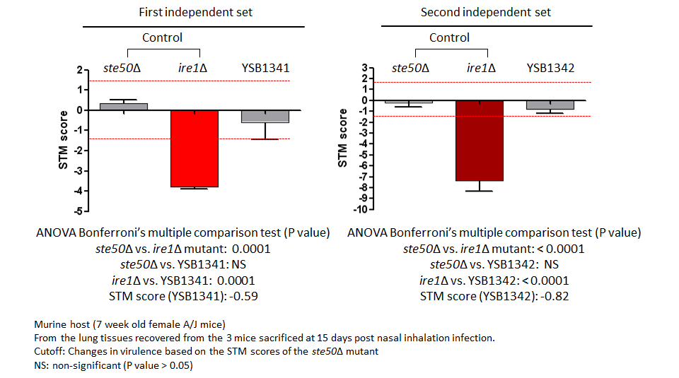 STM murine host model data for CNAG_06339T0