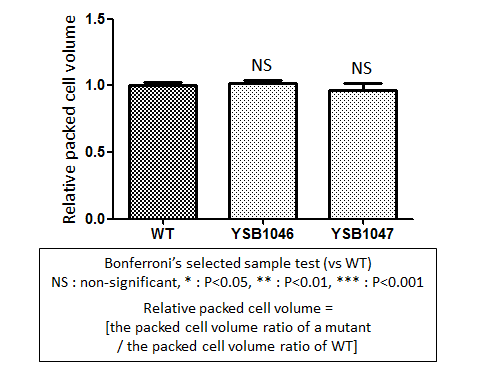 Capsule phenotype for CNAG_06425T0