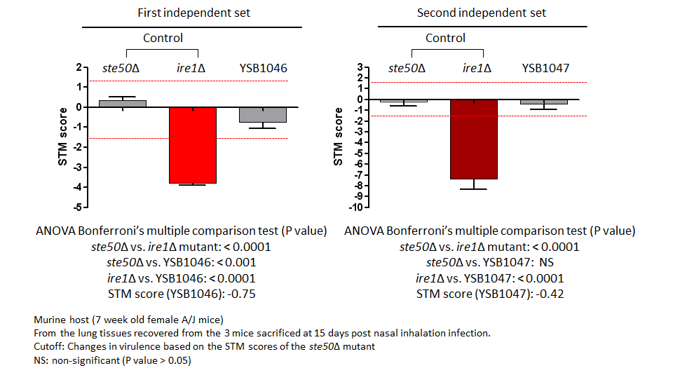 STM murine host model data for CNAG_06425T0