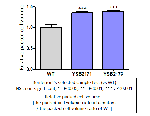 Capsule phenotype for CNAG_06719T0