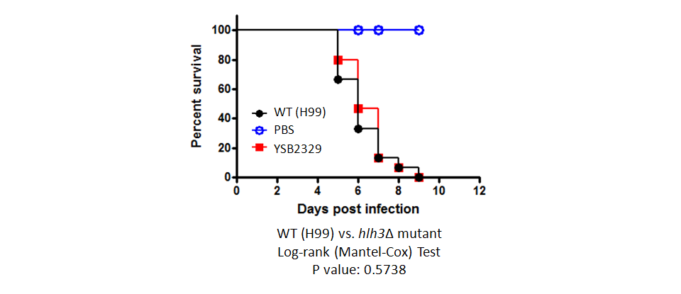 Galleria mellonella virulence data for CNAG_06751T0