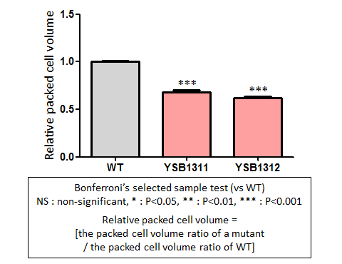 Capsule phenotype for CNAG_06762T0