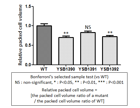 Capsule phenotype for CNAG_06814T0