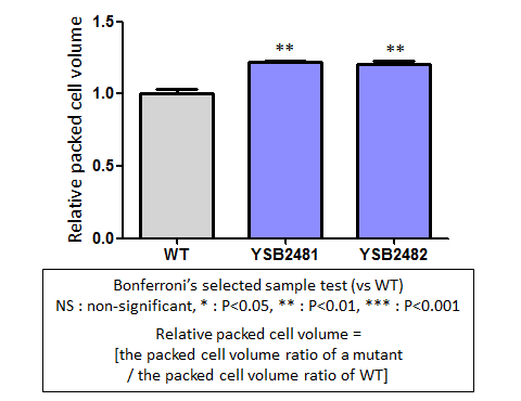 Capsule phenotype for CNAG_06818T1