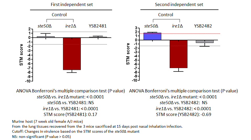 STM murine host model data for CNAG_06818T1