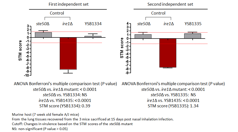 STM murine host model data for CNAG_06871T0