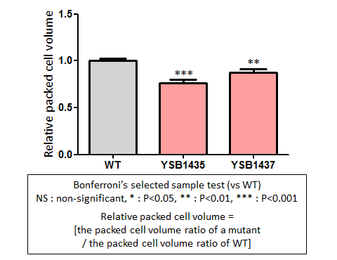 Capsule phenotype for CNAG_06921T0
