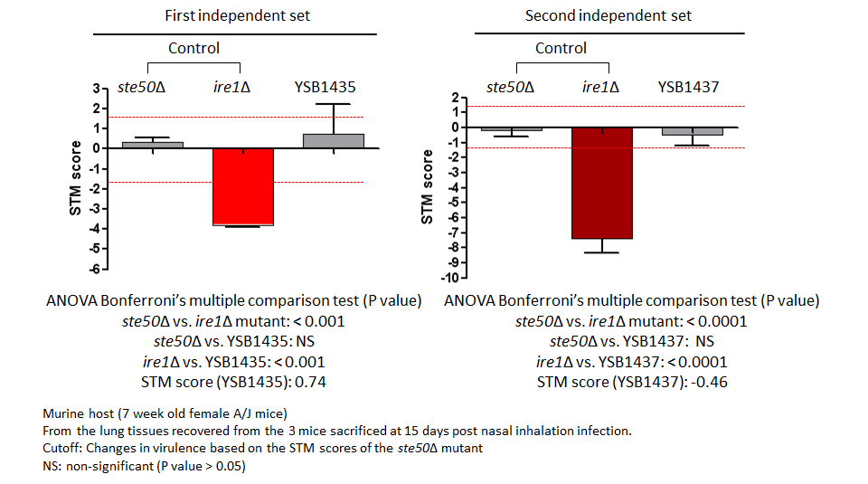 STM murine host model data for CNAG_06921T0