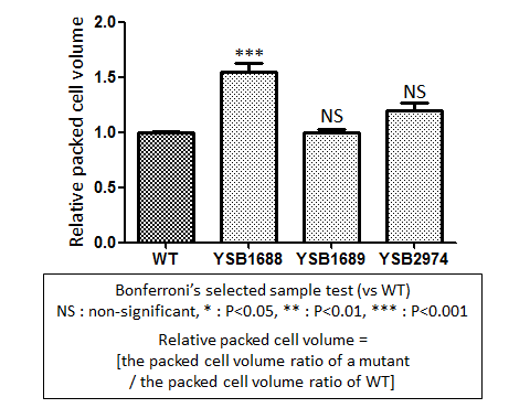 Capsule phenotype for CNAG_07011T1