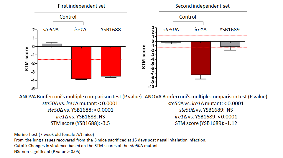 STM murine host model data for CNAG_07011T1