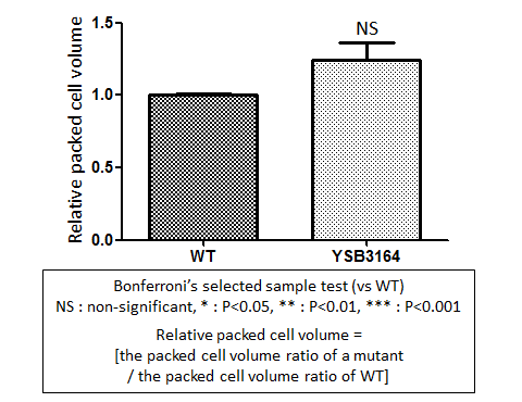 Capsule phenotype for CNAG_07411T0