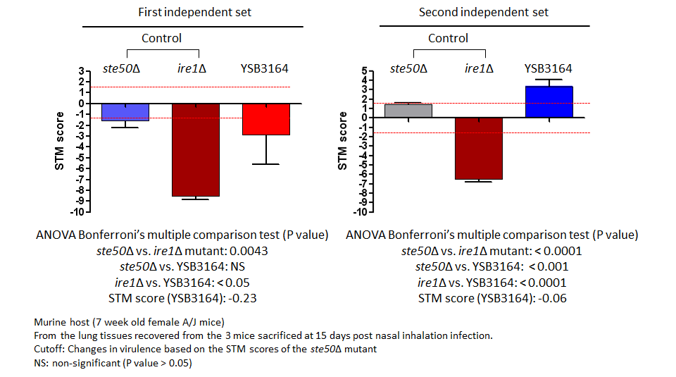 STM murine host model data for CNAG_07411T0