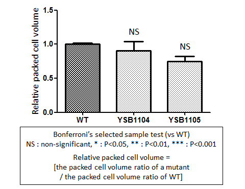 Capsule phenotype for CNAG_07435T0