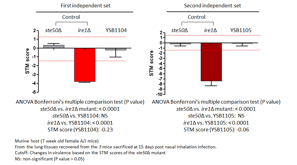 STM murine host model data for CNAG_07435T0