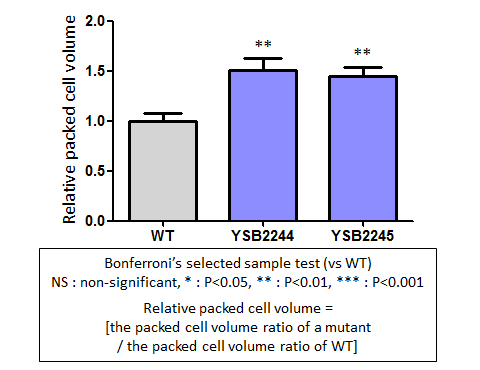 Capsule phenotype for CNAG_07443T0