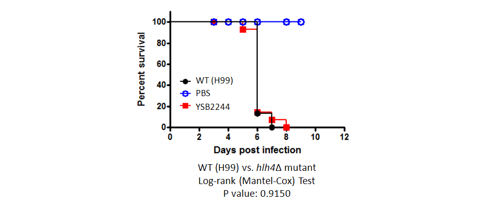 Galleria mellonella virulence data for CNAG_07443T0