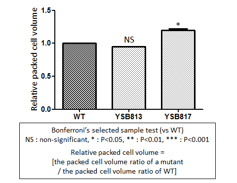 Capsule phenotype for CNAG_07506T0