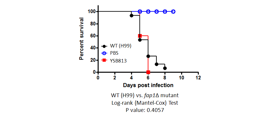 Galleria mellonella virulence data for CNAG_07506T0