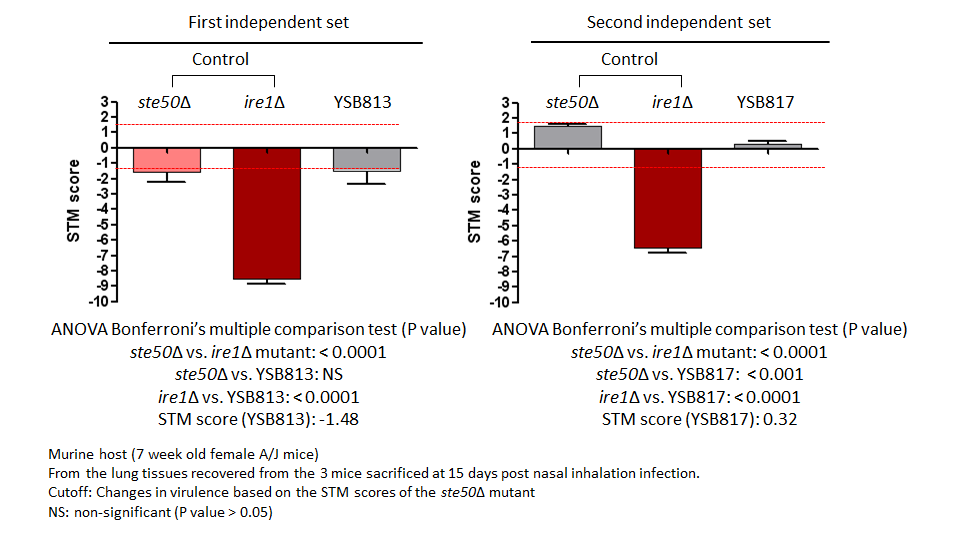 STM murine host model data for CNAG_07506T0