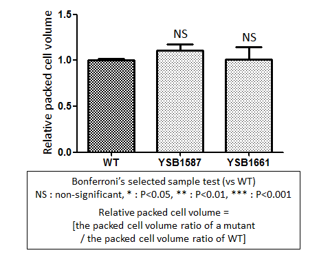 Capsule phenotype for CNAG_07593T0
