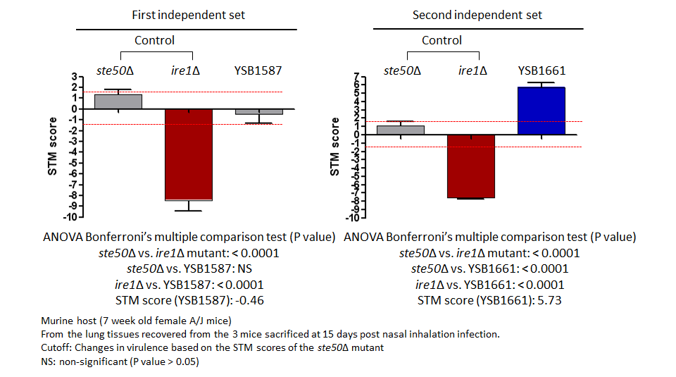 STM murine host model data for CNAG_07593T0