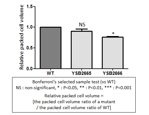 Capsule phenotype for CNAG_07724T0