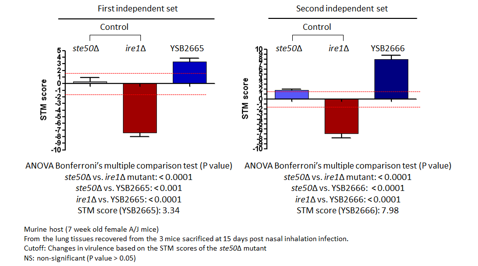 STM murine host model data for CNAG_07724T0