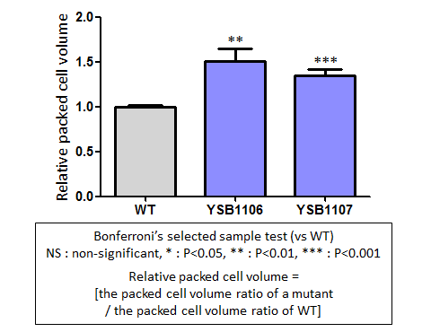 Capsule phenotype for CNAG_07797T1