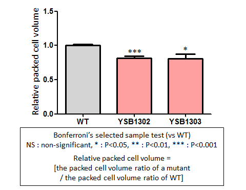Capsule phenotype for CNAG_07924T0