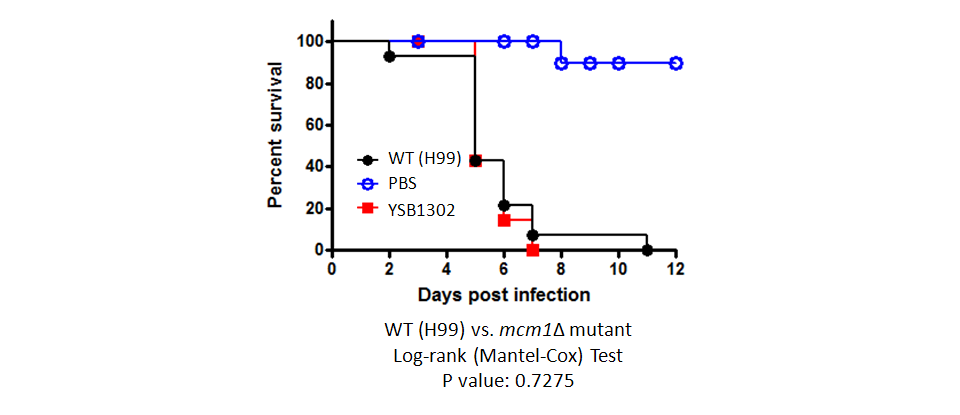 Galleria mellonella virulence data for CNAG_07924T0