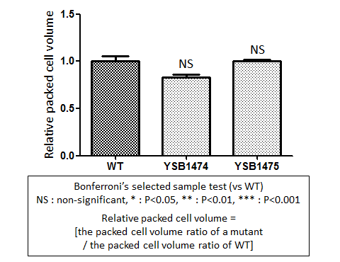 Capsule phenotype for CNAG_07940T1