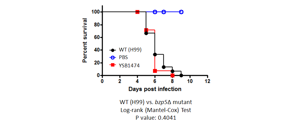 Galleria mellonella virulence data for CNAG_07940T1