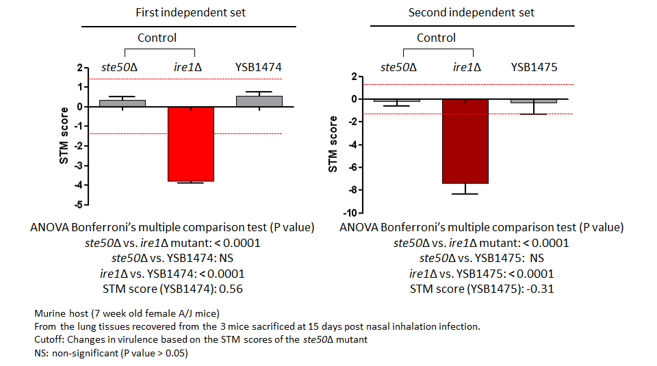 STM murine host model data for CNAG_07940T1
